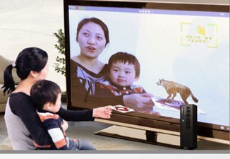 Rear Projection Screen